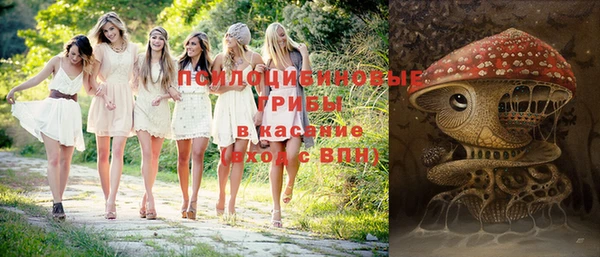 apvp Саяногорск