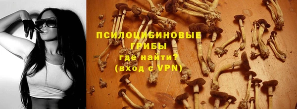 apvp Саяногорск