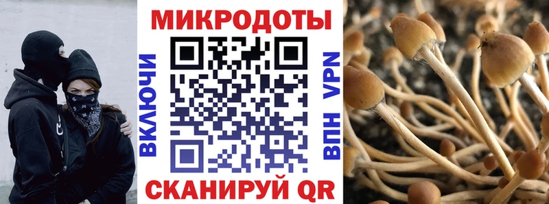 наркота  Семёнов  Псилоцибиновые грибы MAGIC MUSHROOMS 